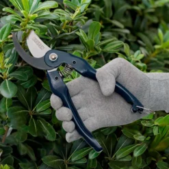 Tijera Poda Curva Bremen Escena
