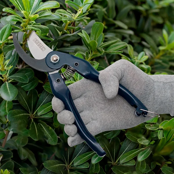 Tijera Poda Curva Bremen Escena